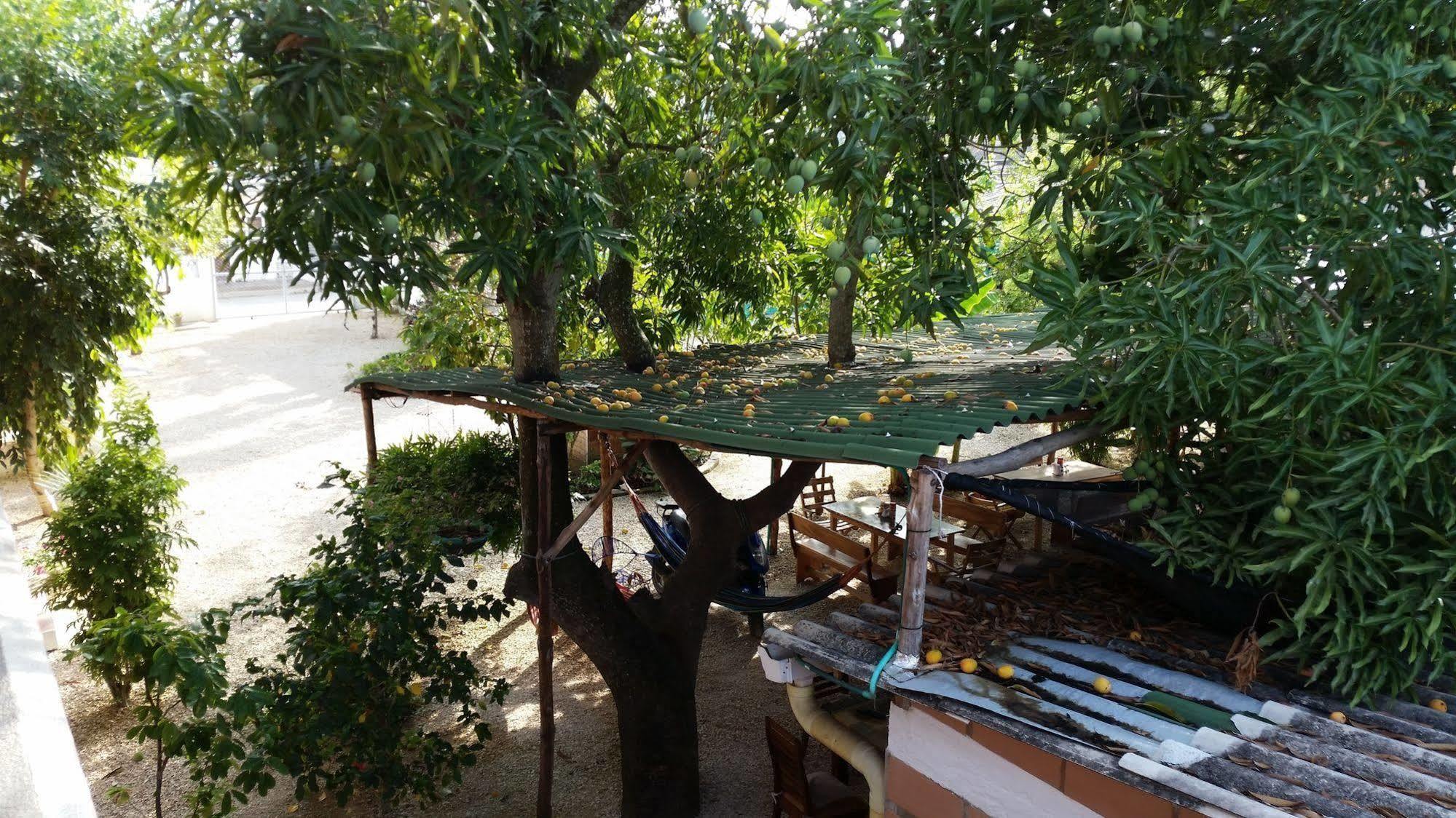 Hotel Pizzeria Opera Толу Екстер'єр фото
